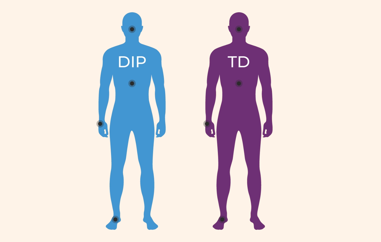 Two full-body silhouettes, one blue with “DIP” on the chest and one purple with “TD” on the chest.