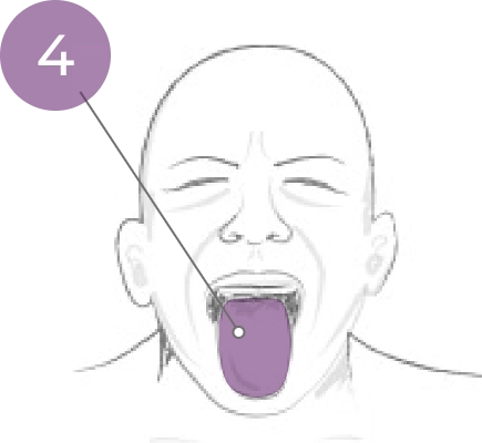 Sketch of head with tongue protruded and shaded in purple with a callout line between the number 4 and the tongue.