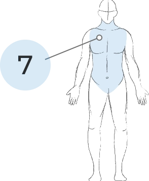 Sketch of body with neck, shoulders, and torso highlighted in light blue, with a callout line between the number 7 and the shaded area.